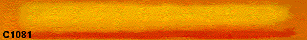  C1081 