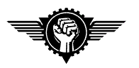 Lightning fist
